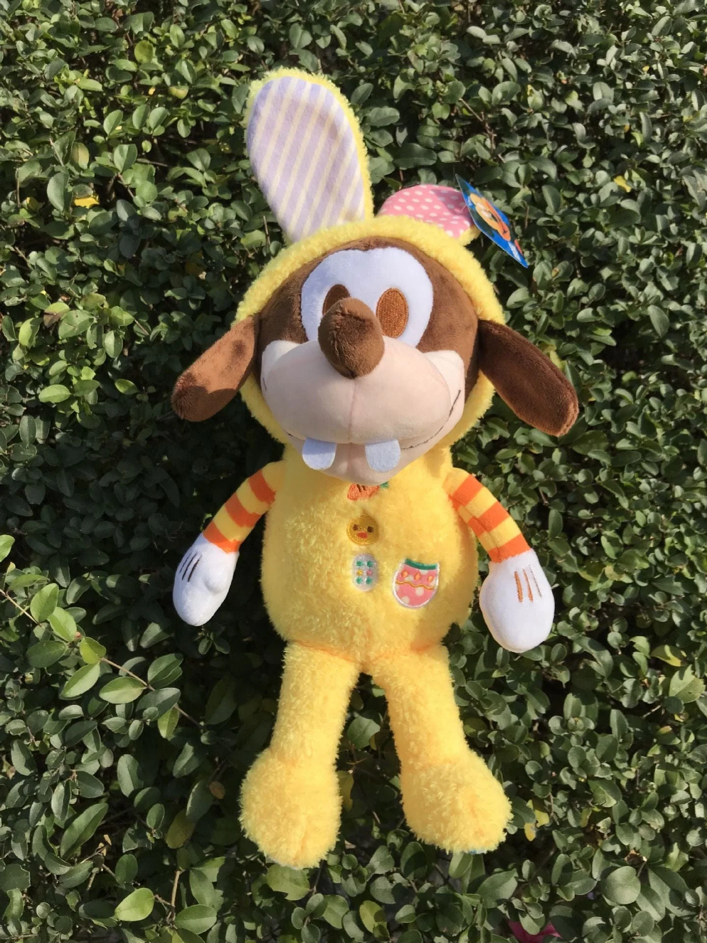Peluche Dingo Disney Dingo Le Drôle™