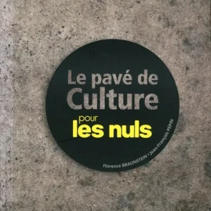 Le pavé de culture pour les nuls