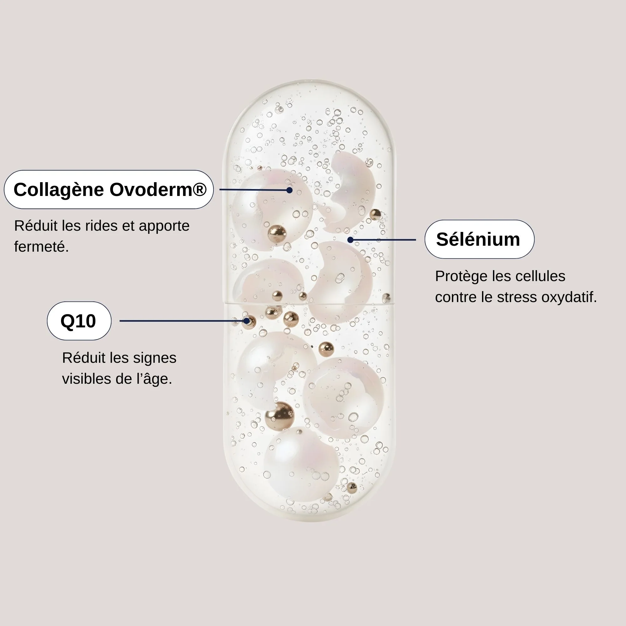 ABSOLU ANTI-ÂGE – Image 4