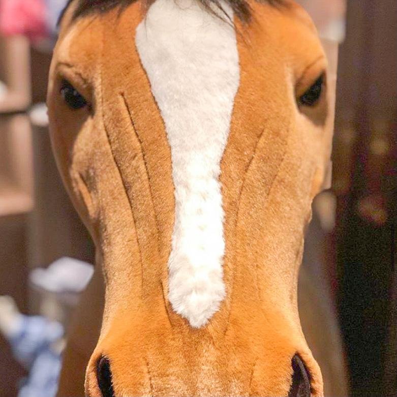 Ma peluche Cheval géant et son Poulain – Image 5