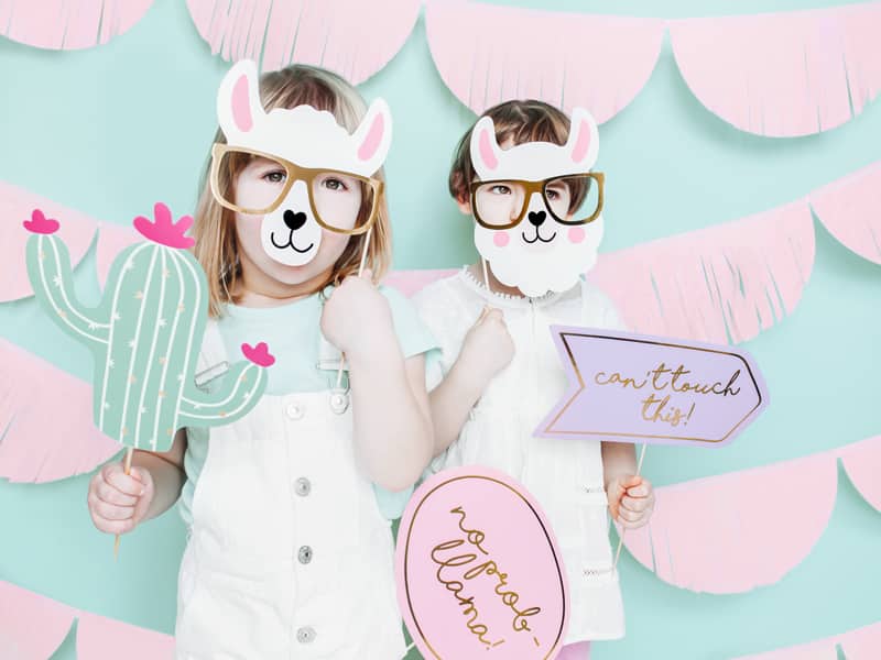 Accessoires photos lama cactus – Image 2