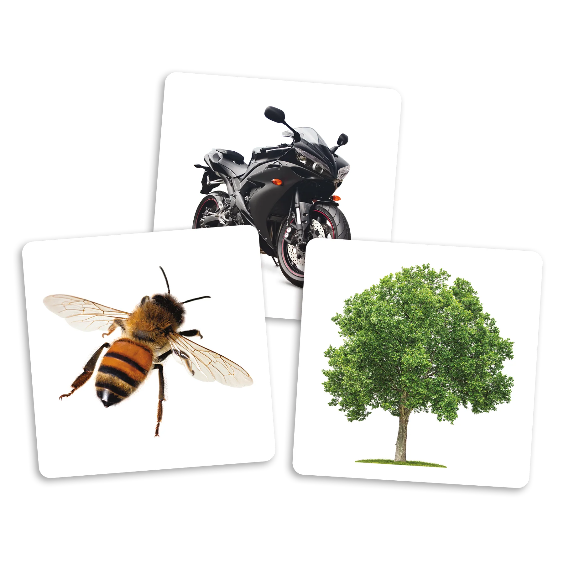 Le dé des premiers mots - cartes supplémentaires – Image 2