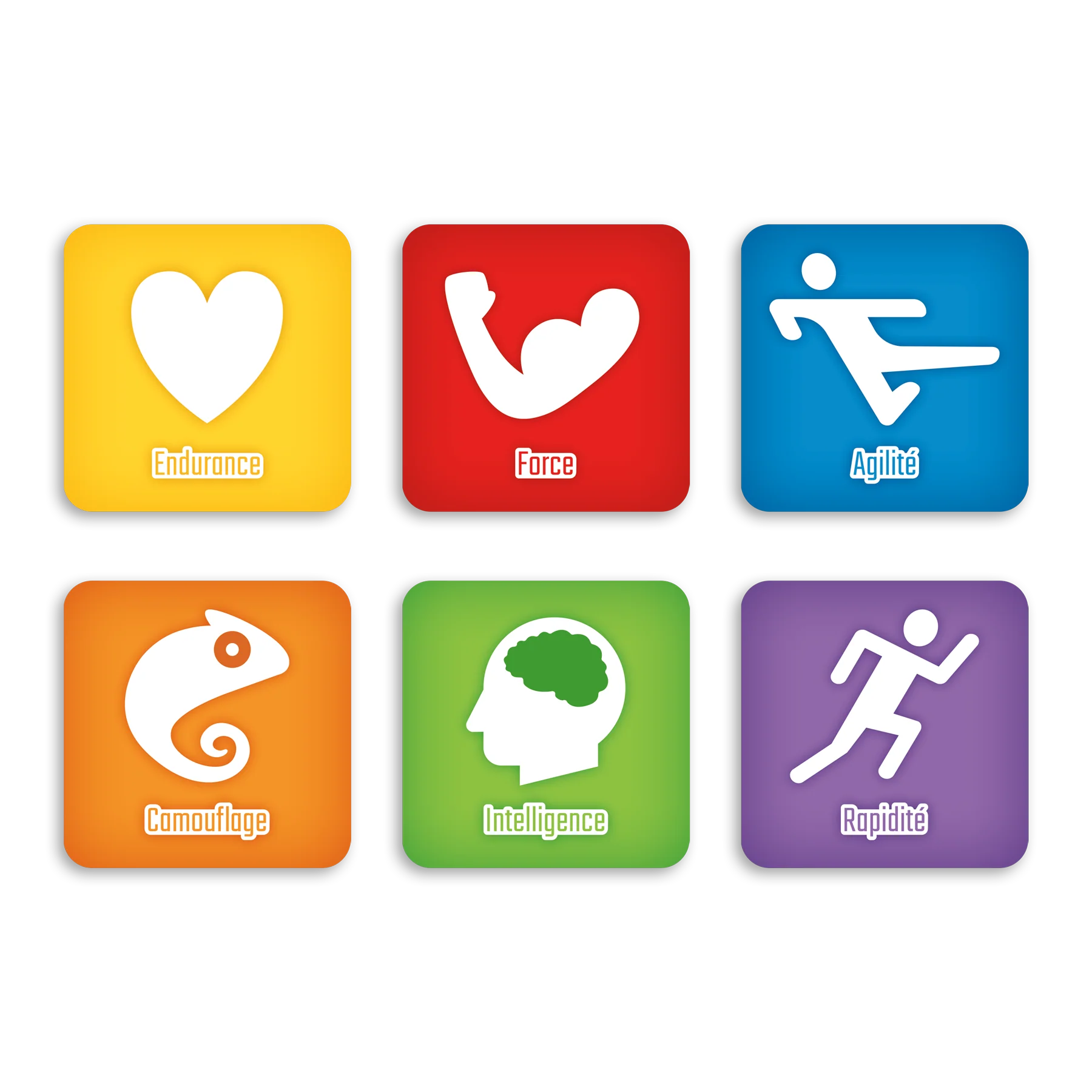 Chromatik – Image 4