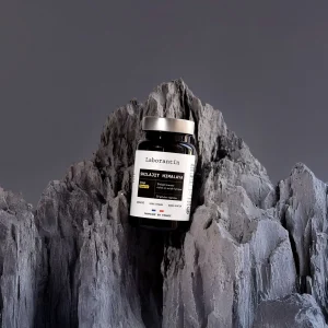 SHILAJIT HIMALAYA BREVETÉ