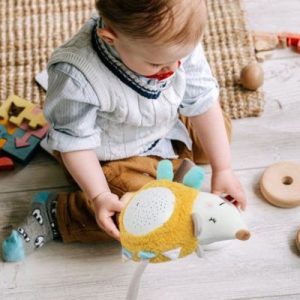 Veilleuse Bruit Blanc | Hérisson projection