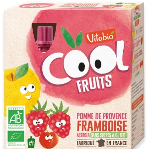 Vitabio Cool Fruits Pomme Framboise 4X90G