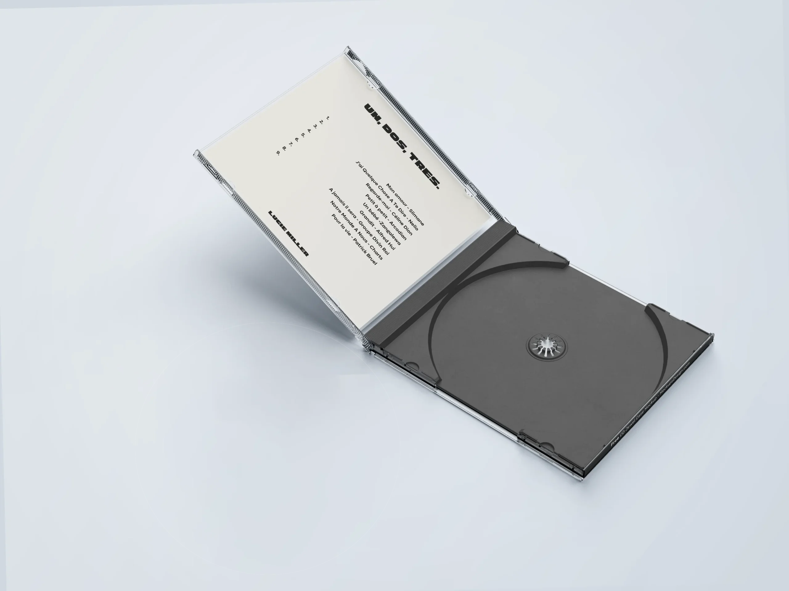 Jaquette CD annonce grossesse – Image 3