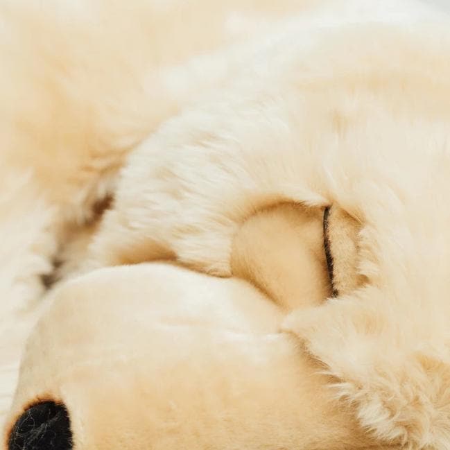 Ma peluche Ours Lucien – Image 3