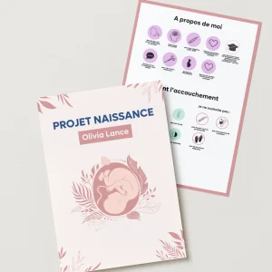 Modèle de Projet de Naissance à Télécharger (Template Canva)