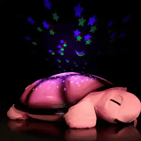 Tortue Veilleuse Bebe